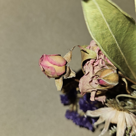 Bulk Dried Flower Petal Mix - Natural Potpourri, Resin Art, & Bath Salt Supplies - Picture 11 of 11